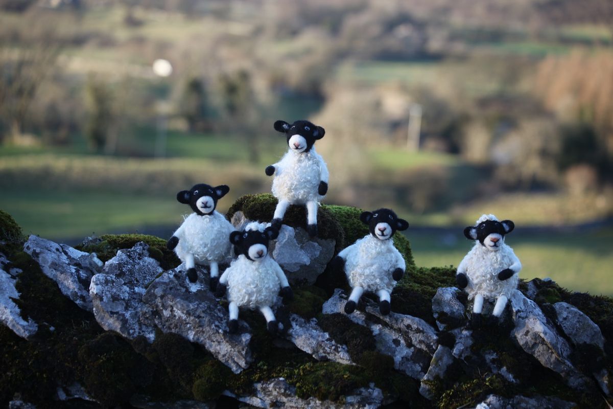 Clover the Wensleydale Sheep - A spring felting workshop with lunch on 29th March 2025