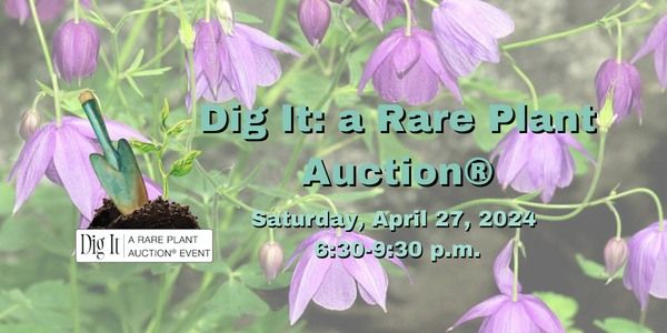 Dig It: A Rare Plant Auction\u00ae Event