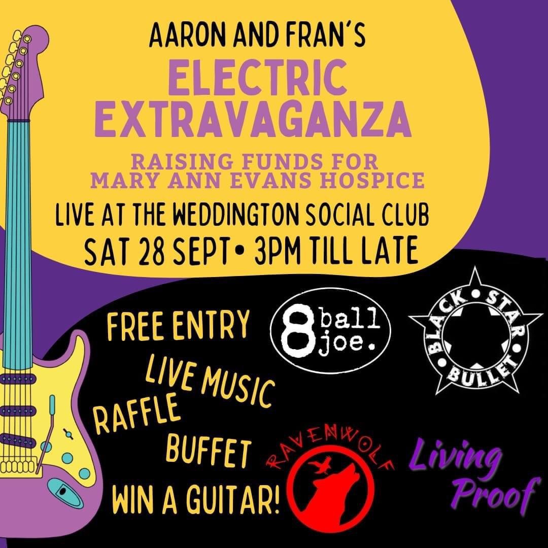 Fran and Aaron\u2019s Electric Extravaganza - 3pm Saturday 28th September