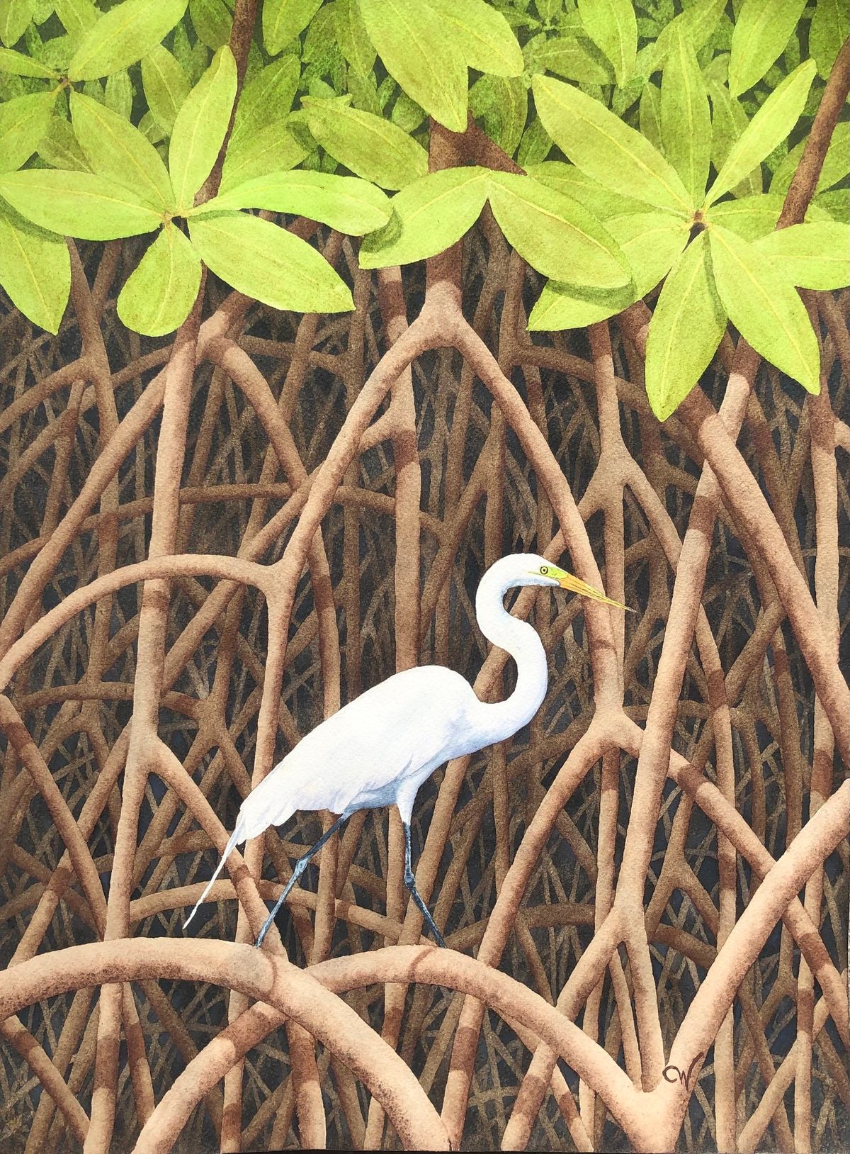 Bonita Springs National Art Festival