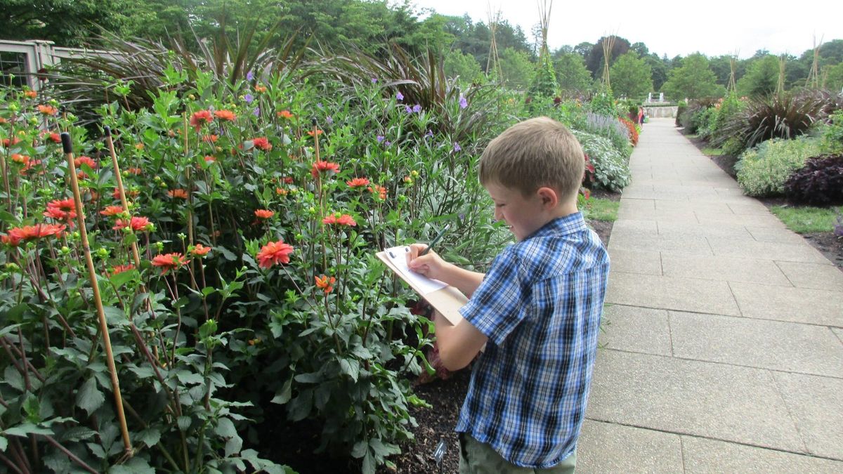 Family Workshop: Nature Journaling (Family Learning)