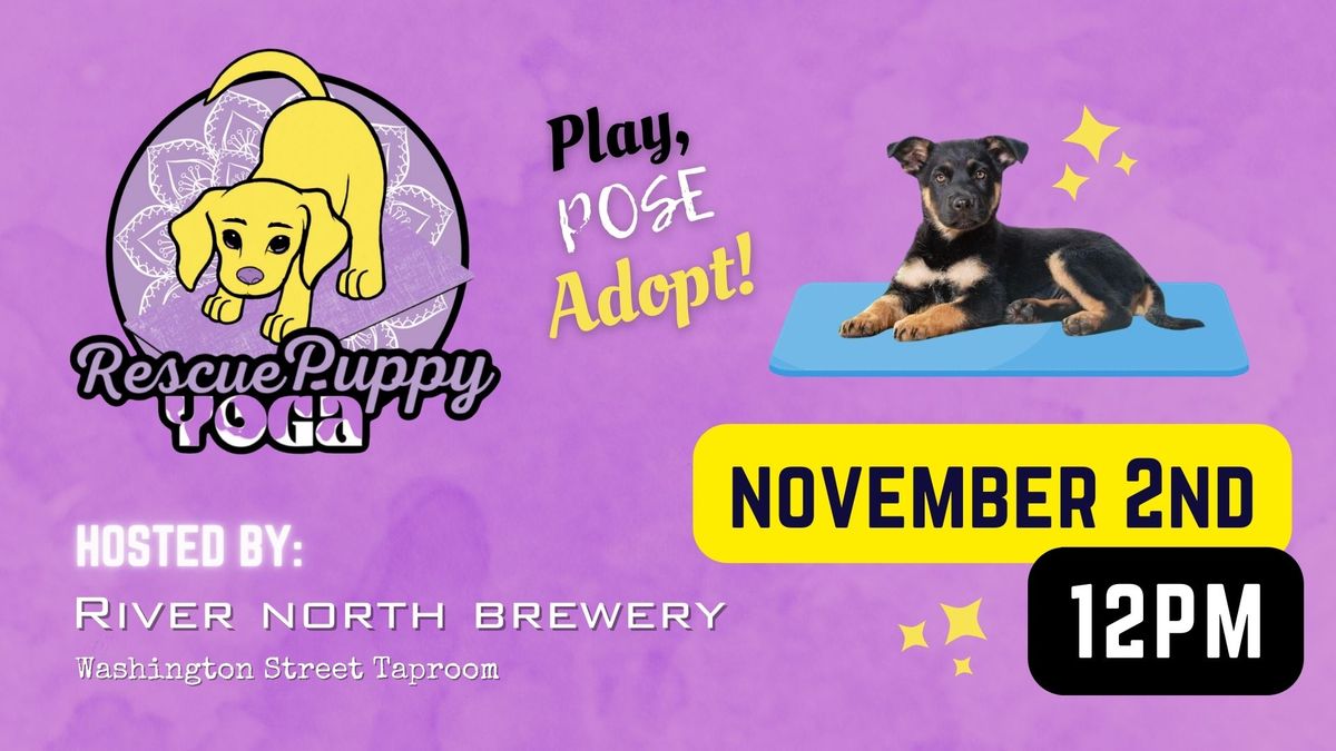 Rescue Puppy Yoga - River North Brewery Washington Street Taproom!