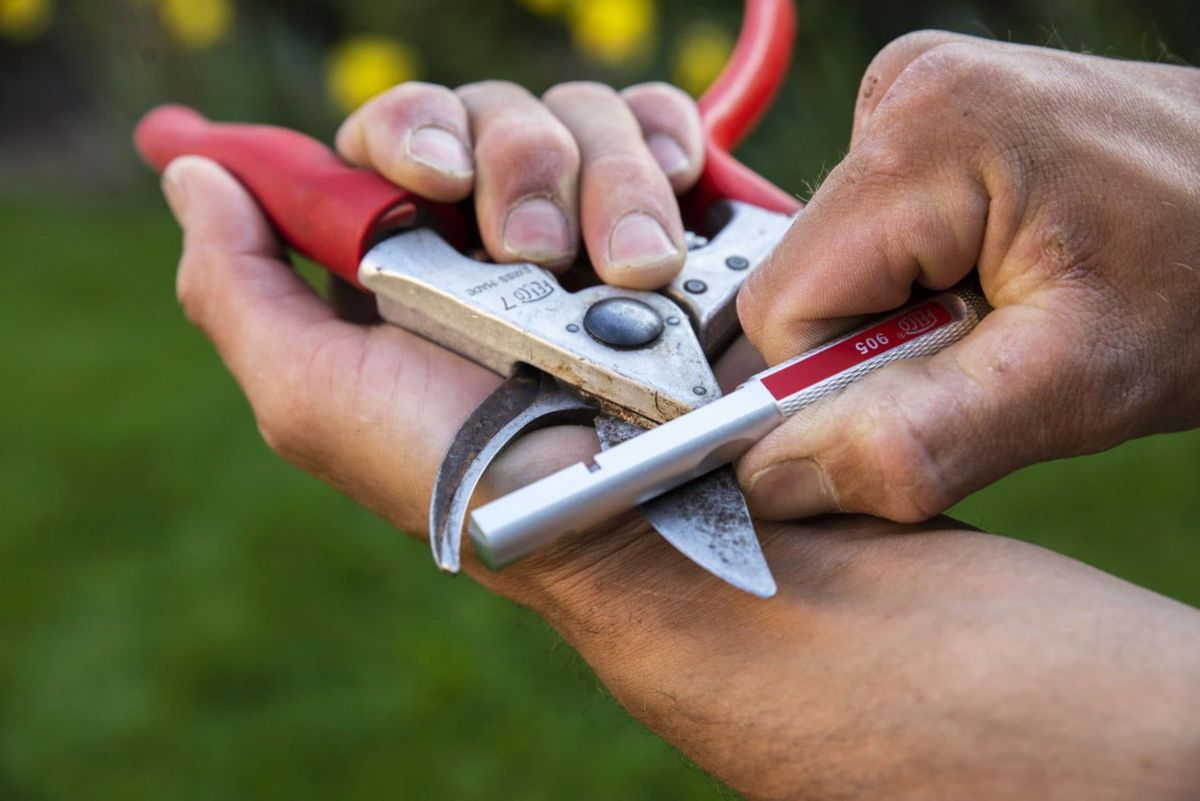 Garden Tool Sharpening