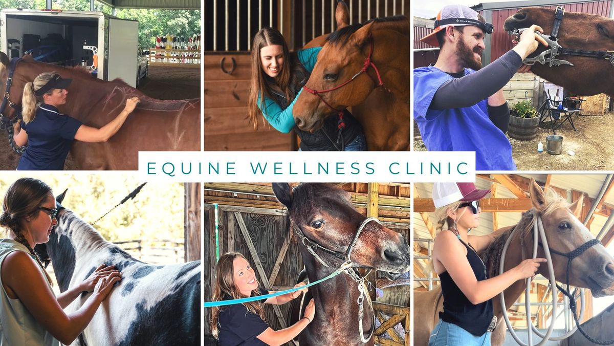 Equine Wellness Clinic