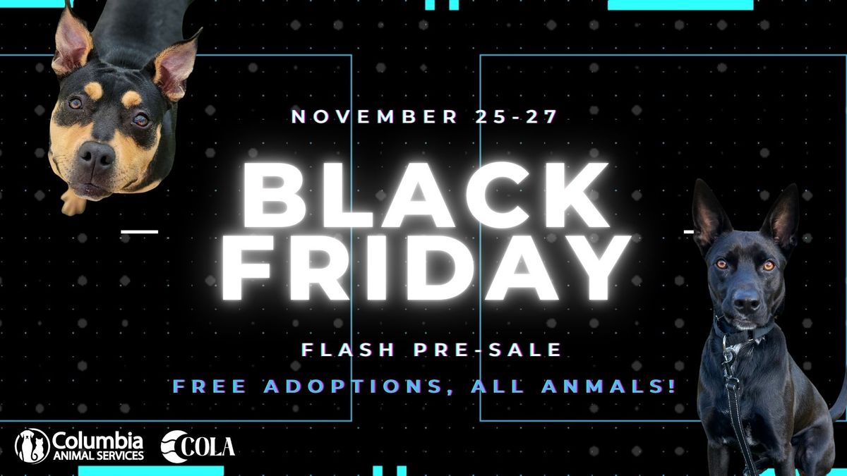 Black Friday Deal: Free Adoptions at Columbia Animal Services