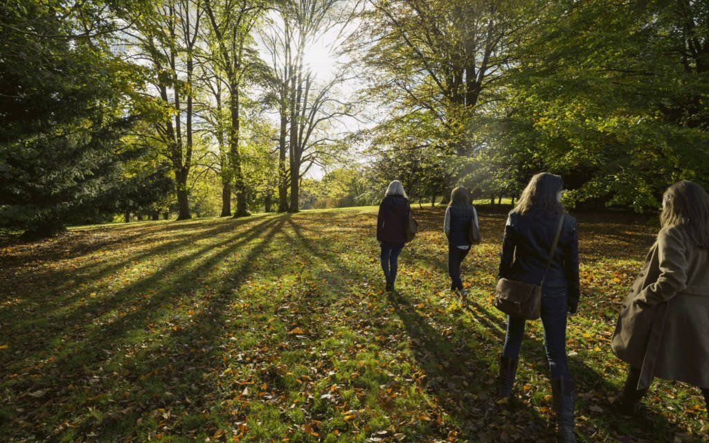 WINTER FOREST BATHING & FIREPIT