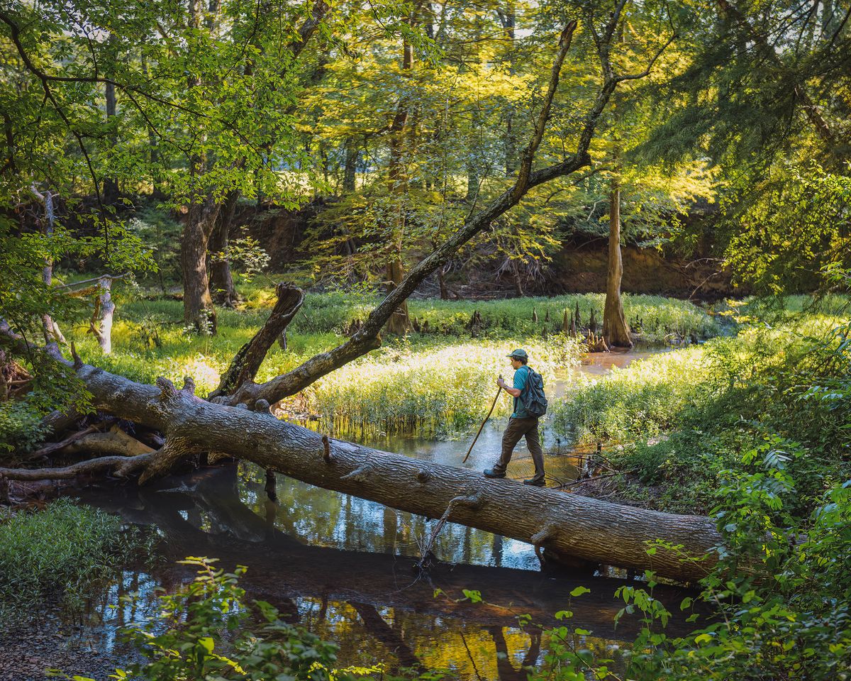 Nature Photography Meetup