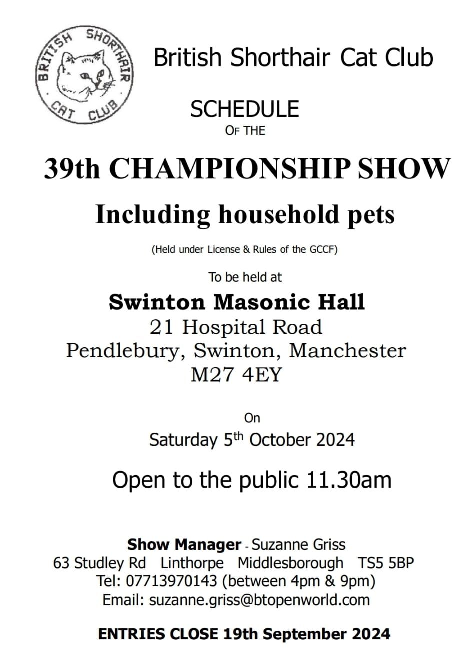 British Shorthair Cat Club Show