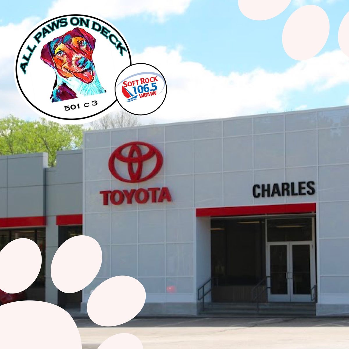 Adoption Event at Charles Toyota, Norwich