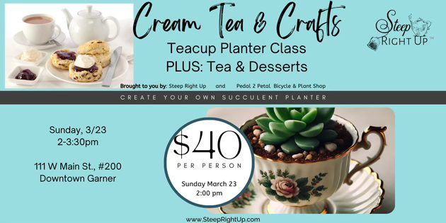 Cream Tea & Crafts: Teacup Planter Class