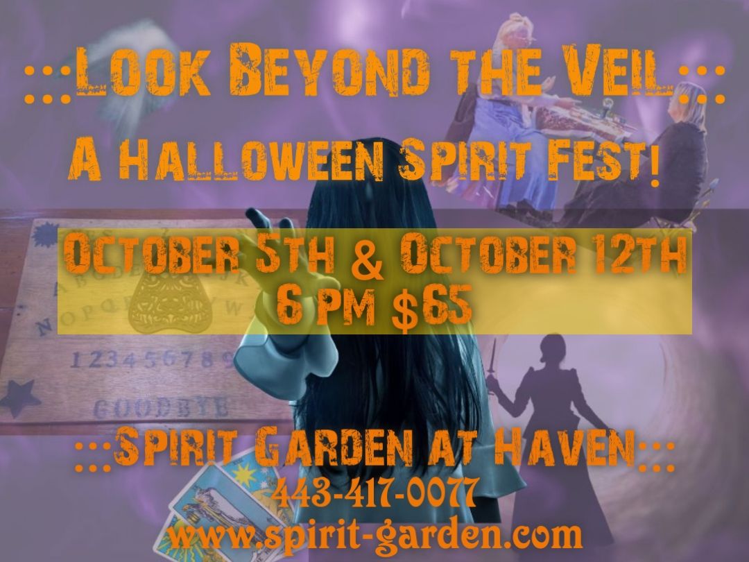 Look Beyond the Veil - 4th annual Halloween Party