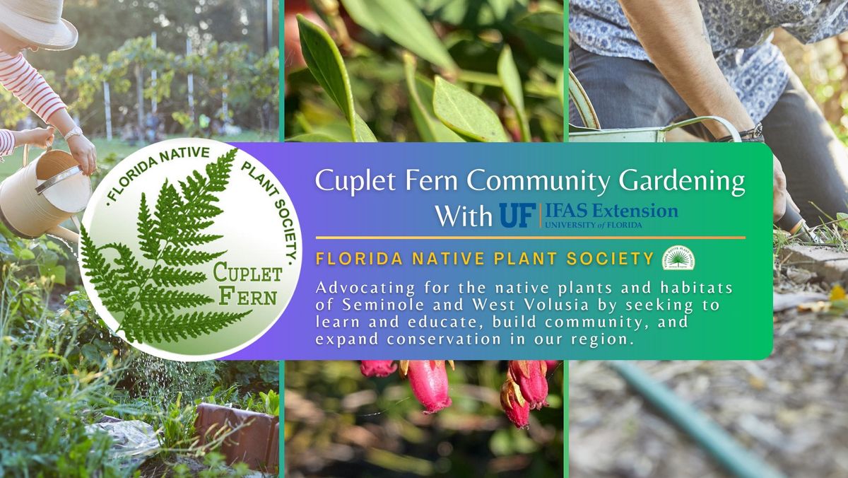 Cuplet Fern Community Gardening: Seminole IFAS Florida Friendly Landscape