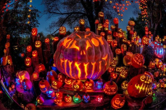 Pumpkin Illumination 2024