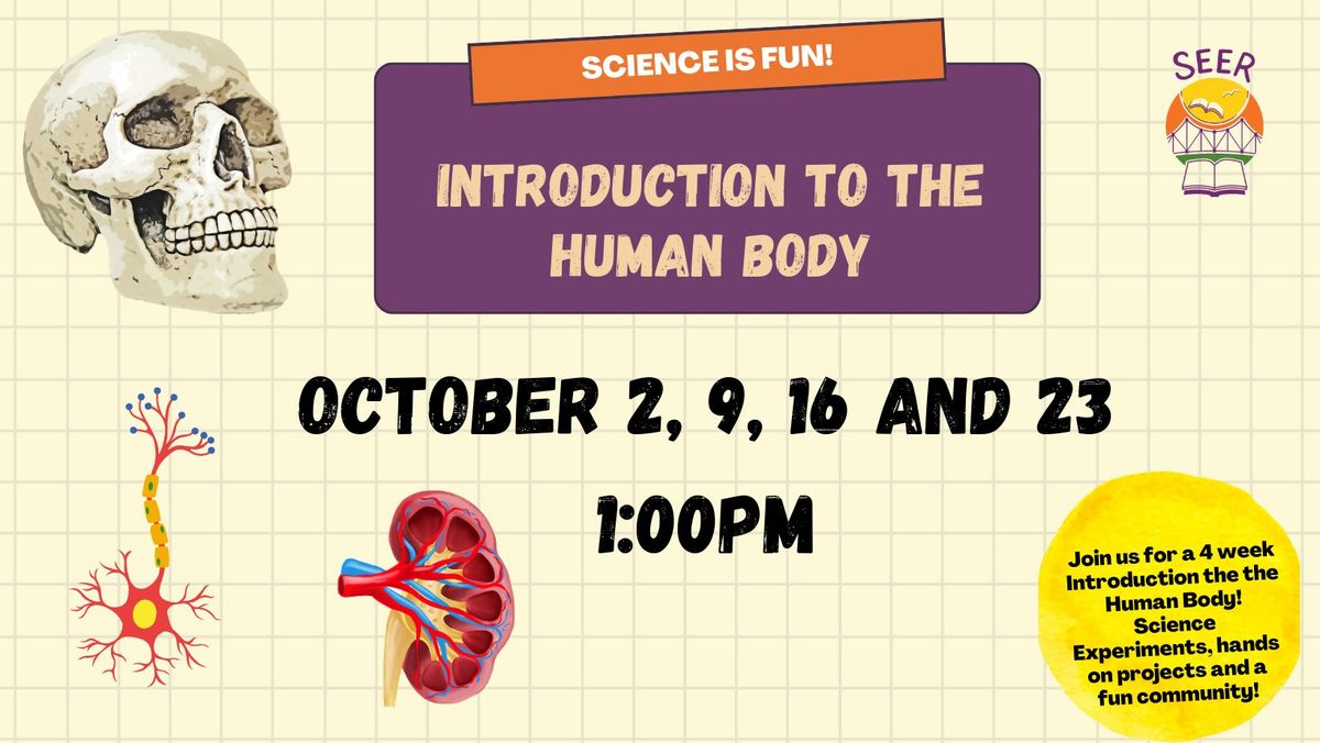 Introduction to the Human Body