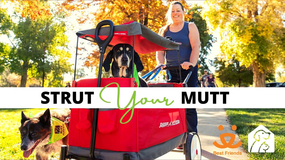 Strut Your Mutt with Ruff Haven