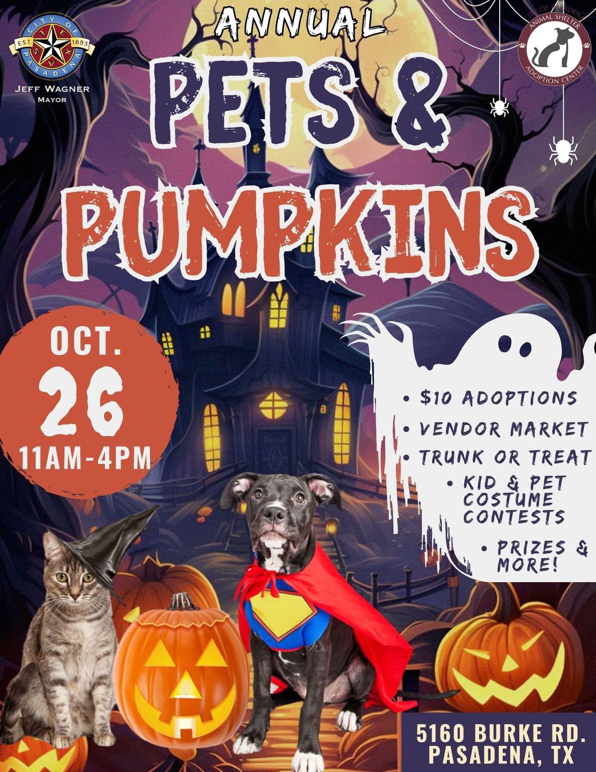 Pets & Pumpkins