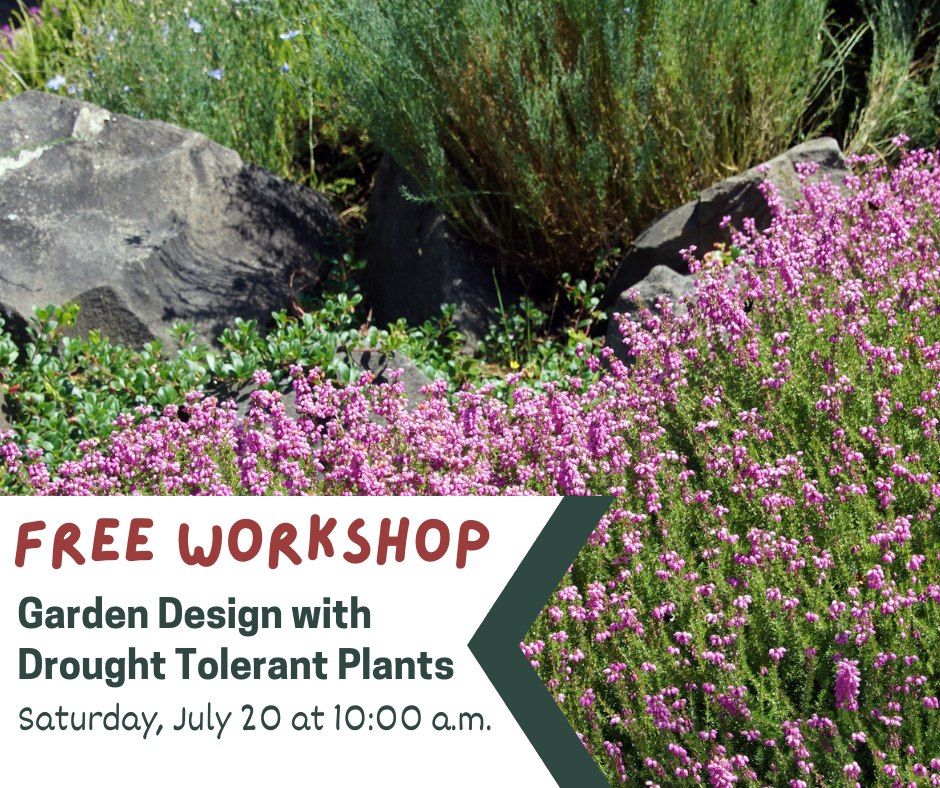 FREE WORKSHOP: Garden Design with Drought Tolerant Plants