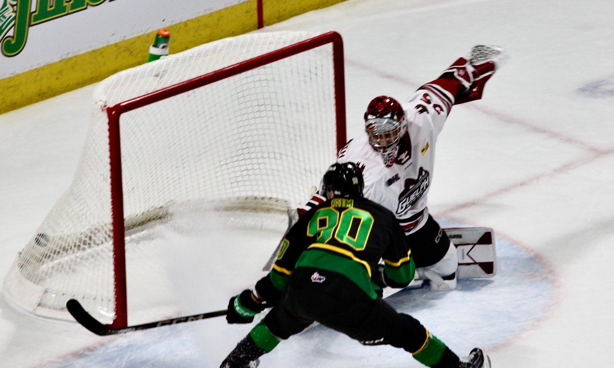 London Knights at Guelph Storm