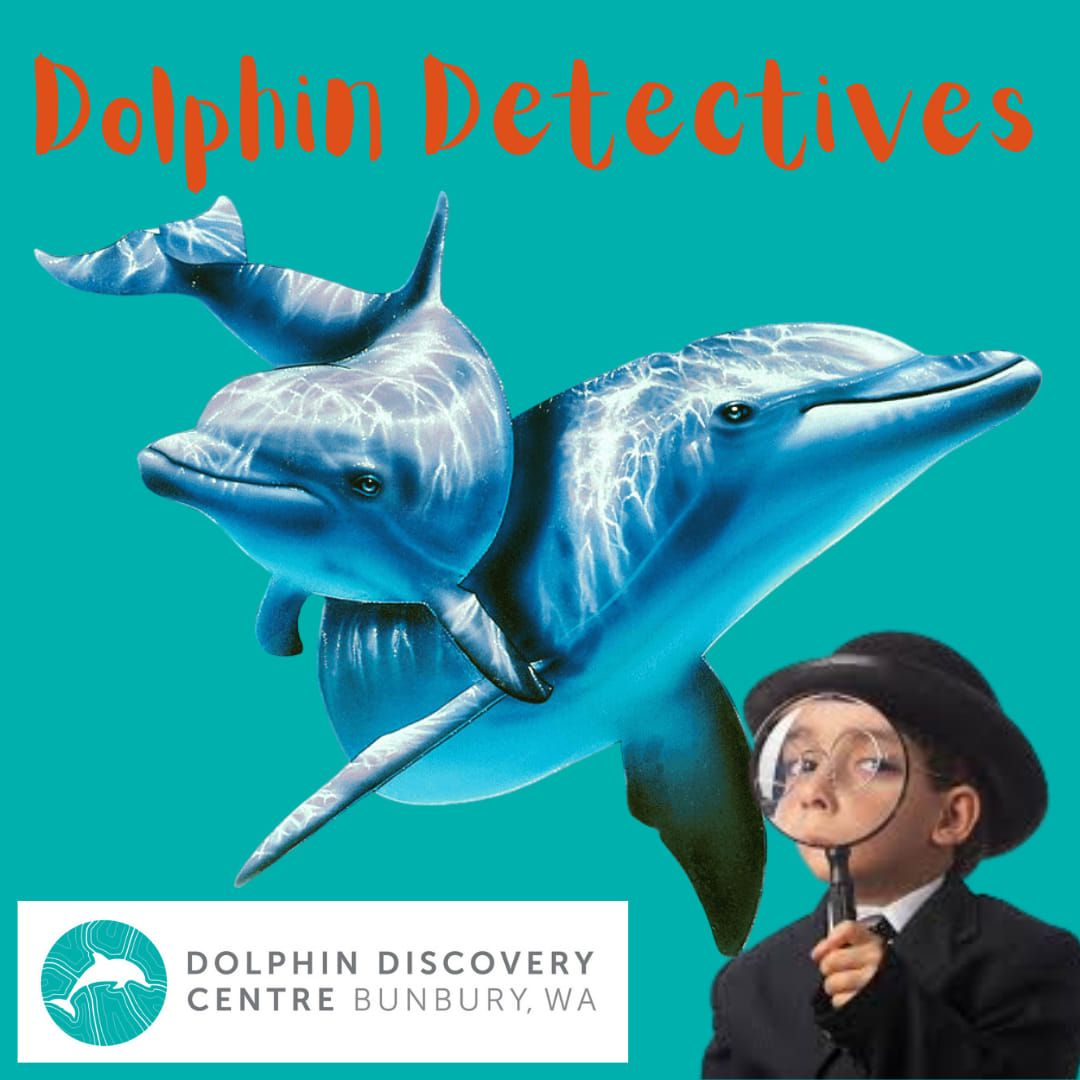 Dolphin Detectives \ud83d\udc2c - School Holiday Program