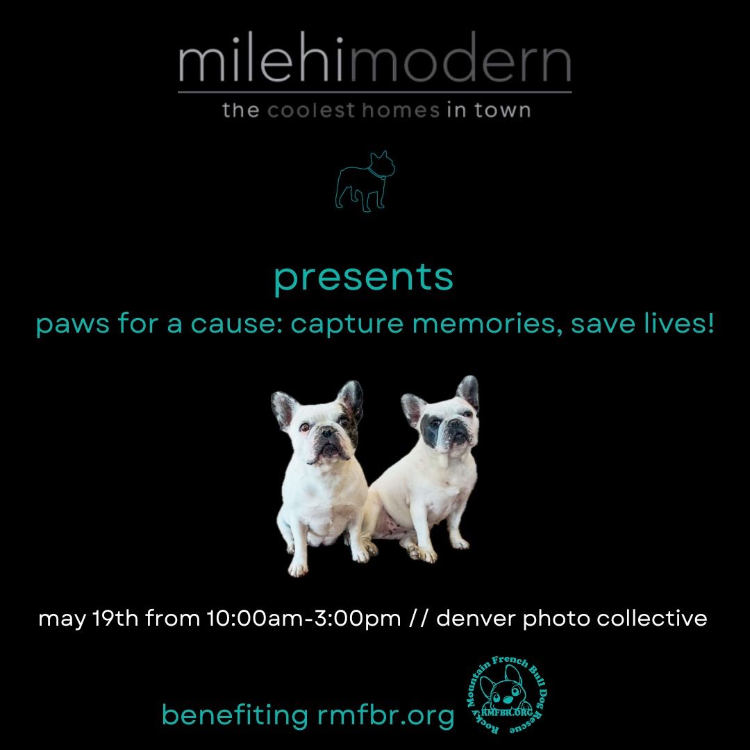 milehimodern presents: paws for a cause! capture memories, save lives!