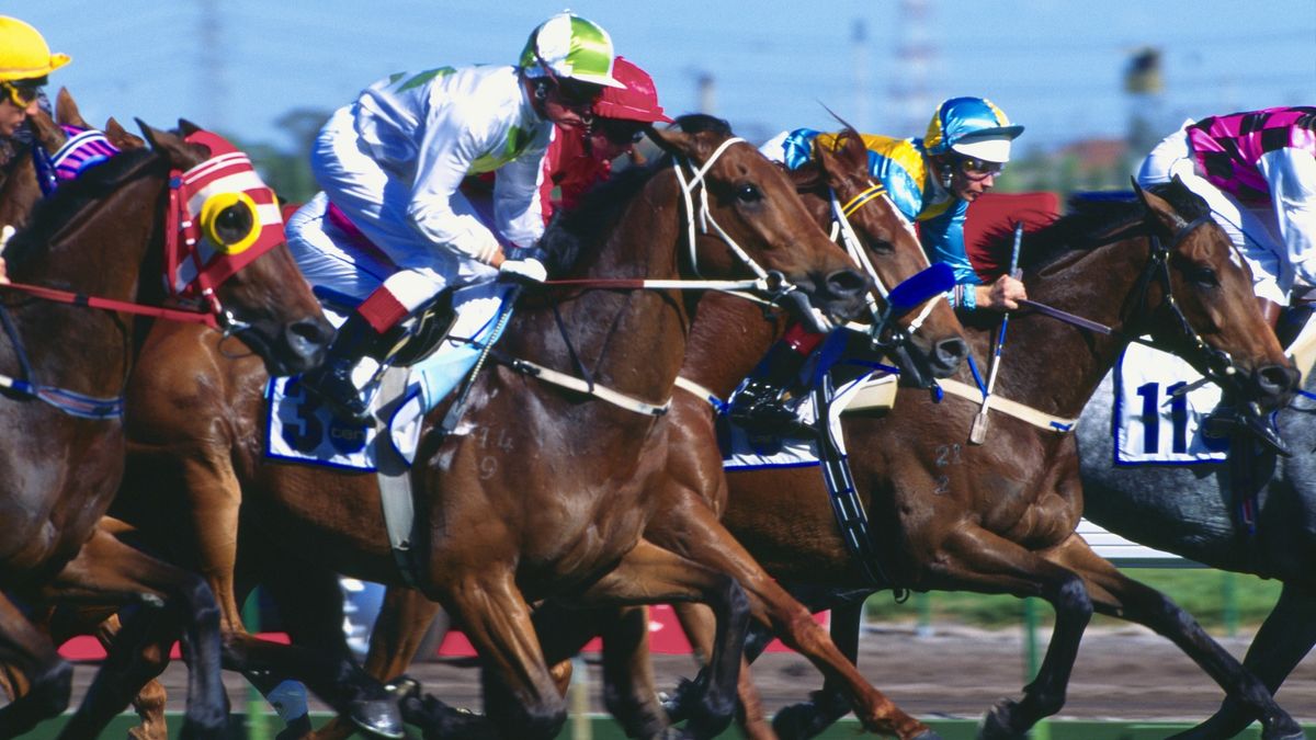 Melbourne Cup 2024