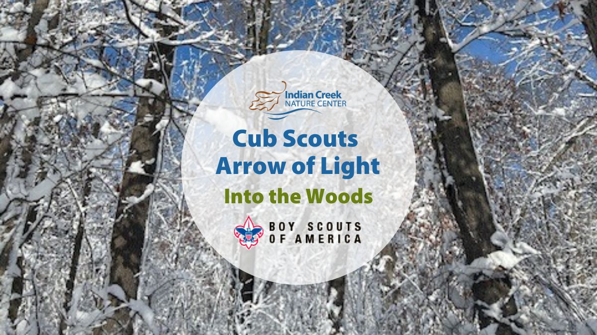 Cub Scout Arrow of Light: Into the Woods