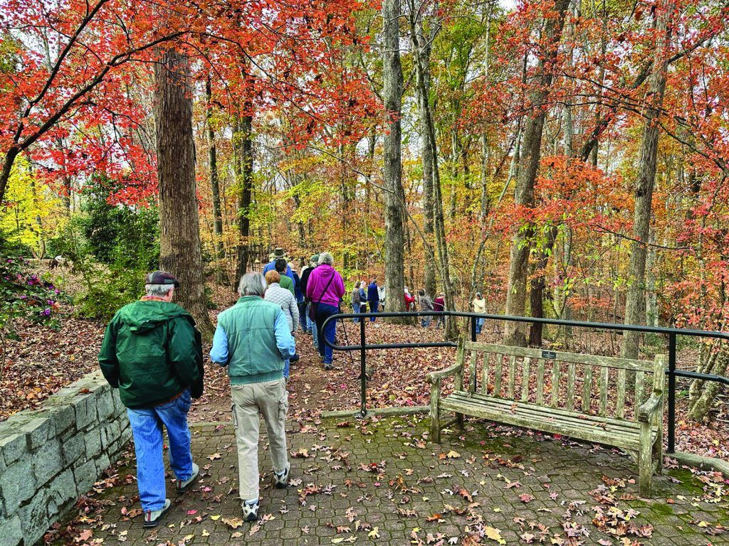 Nature Ramblers