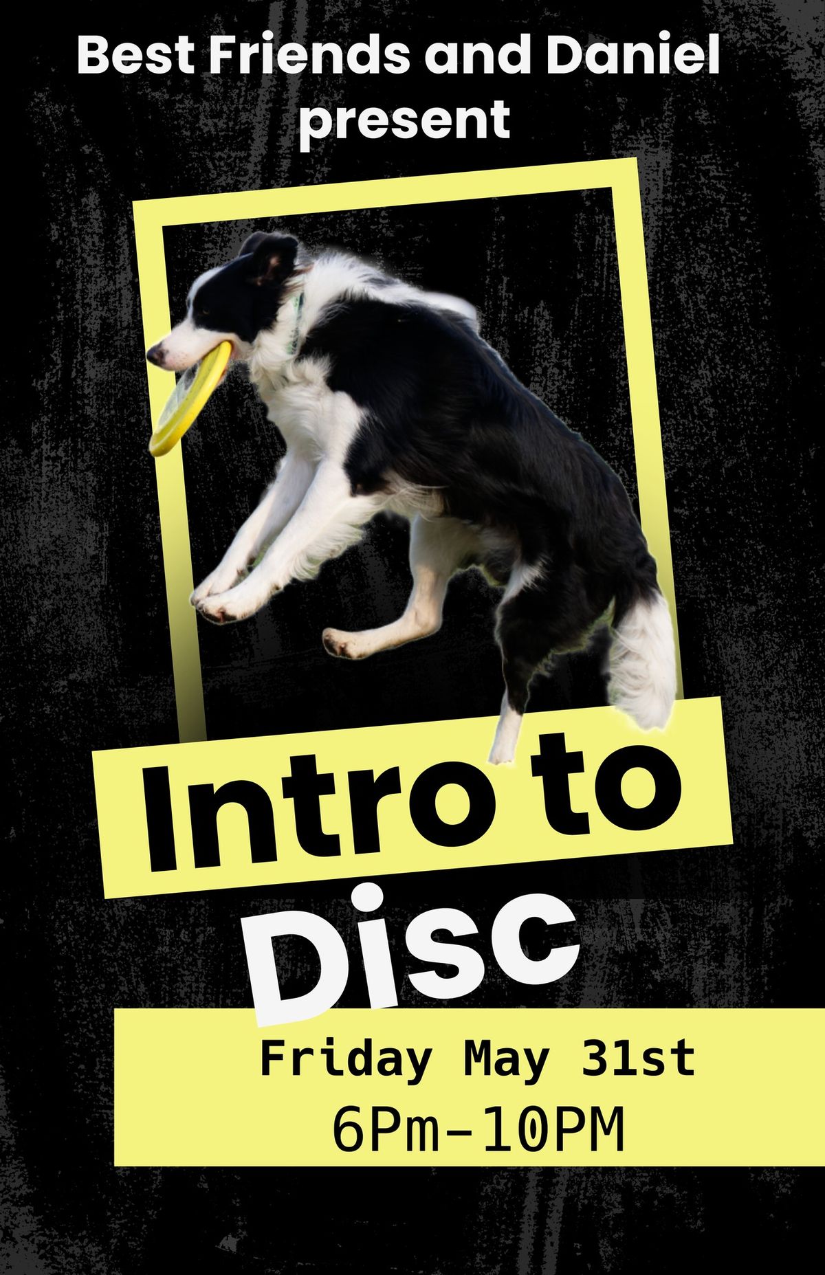 Intro to Disc - Under the Stars  - with Daniel Suda