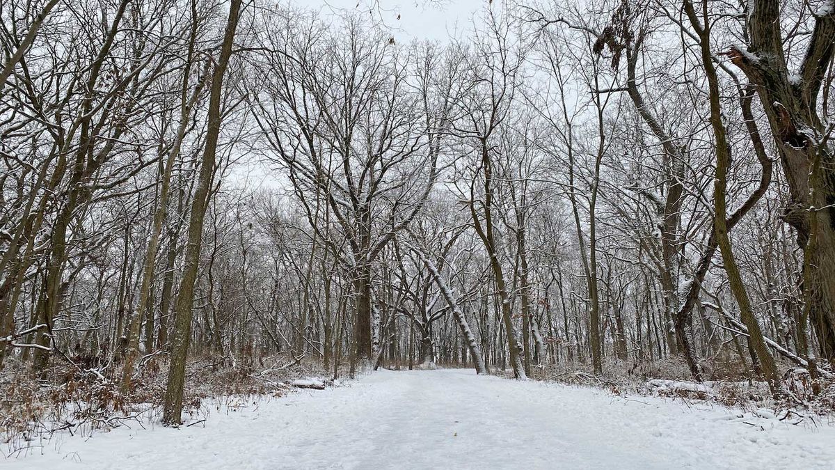 Stress-free Hike for Women