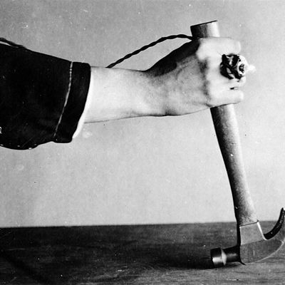 JHI Working Group on Gesture