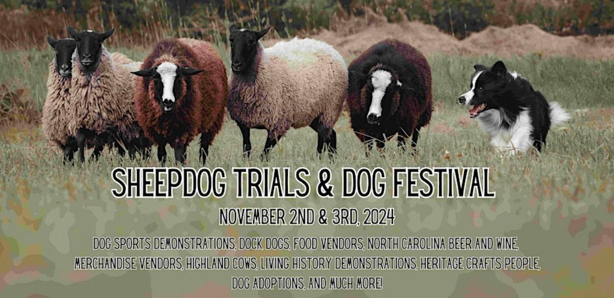 Sheepdog Trials & Dog Festival