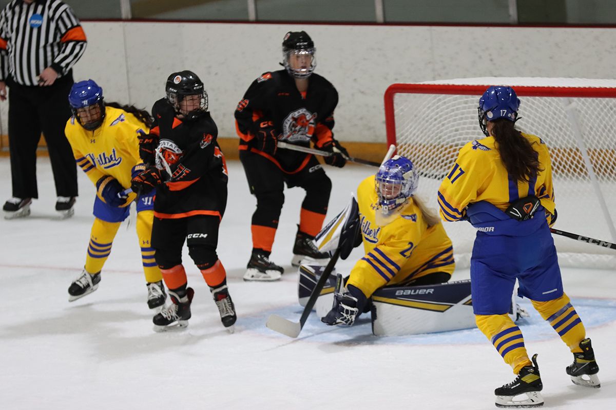 Parking Clarkson Golden Knights at Rochester Institute of Technology Tigers Mens Hockey