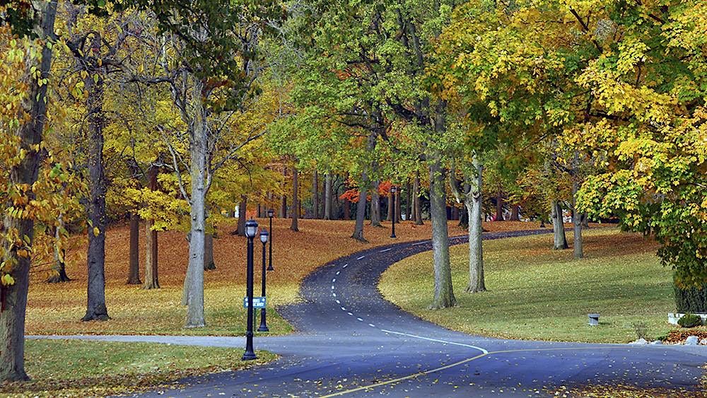 Public Tour: Fall Leaves with the Crown Hill Arboretum Director