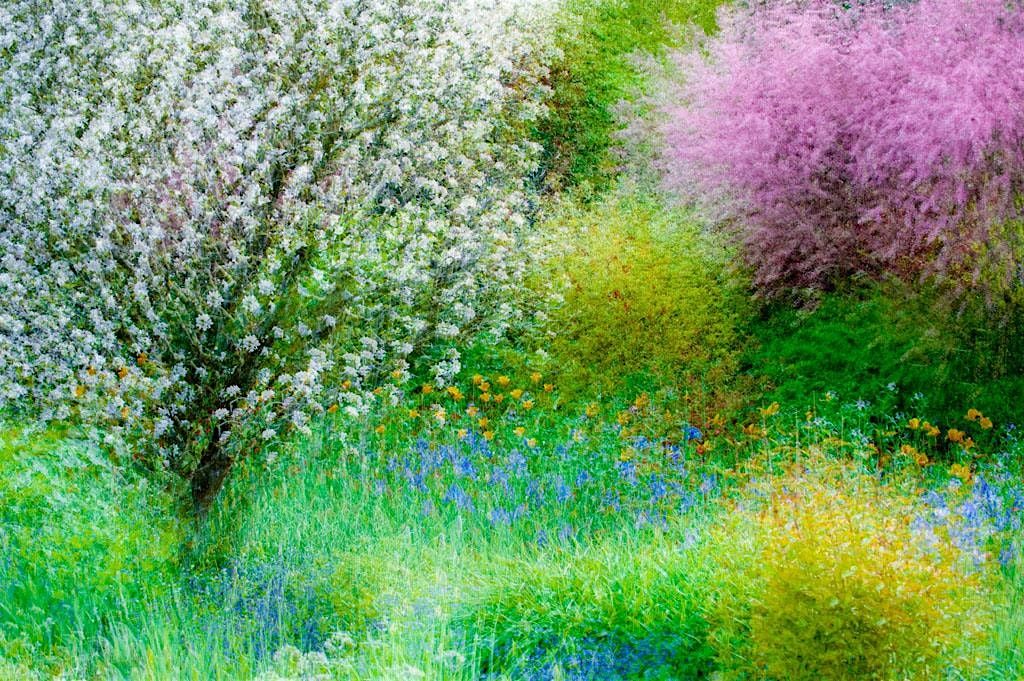 The Art of Seeing: A Weekend of Creative Photography with Charles Needle