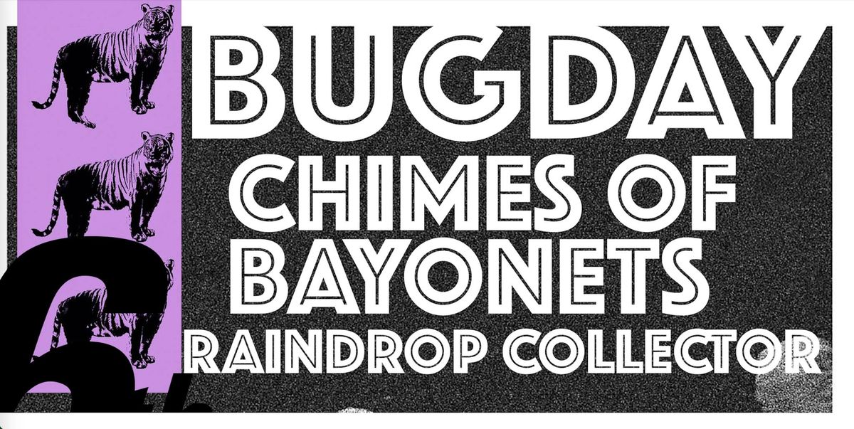 Bug Day (Rochester), Chimes of Bayonets, Raindrop Collector @ Angry Mom Records