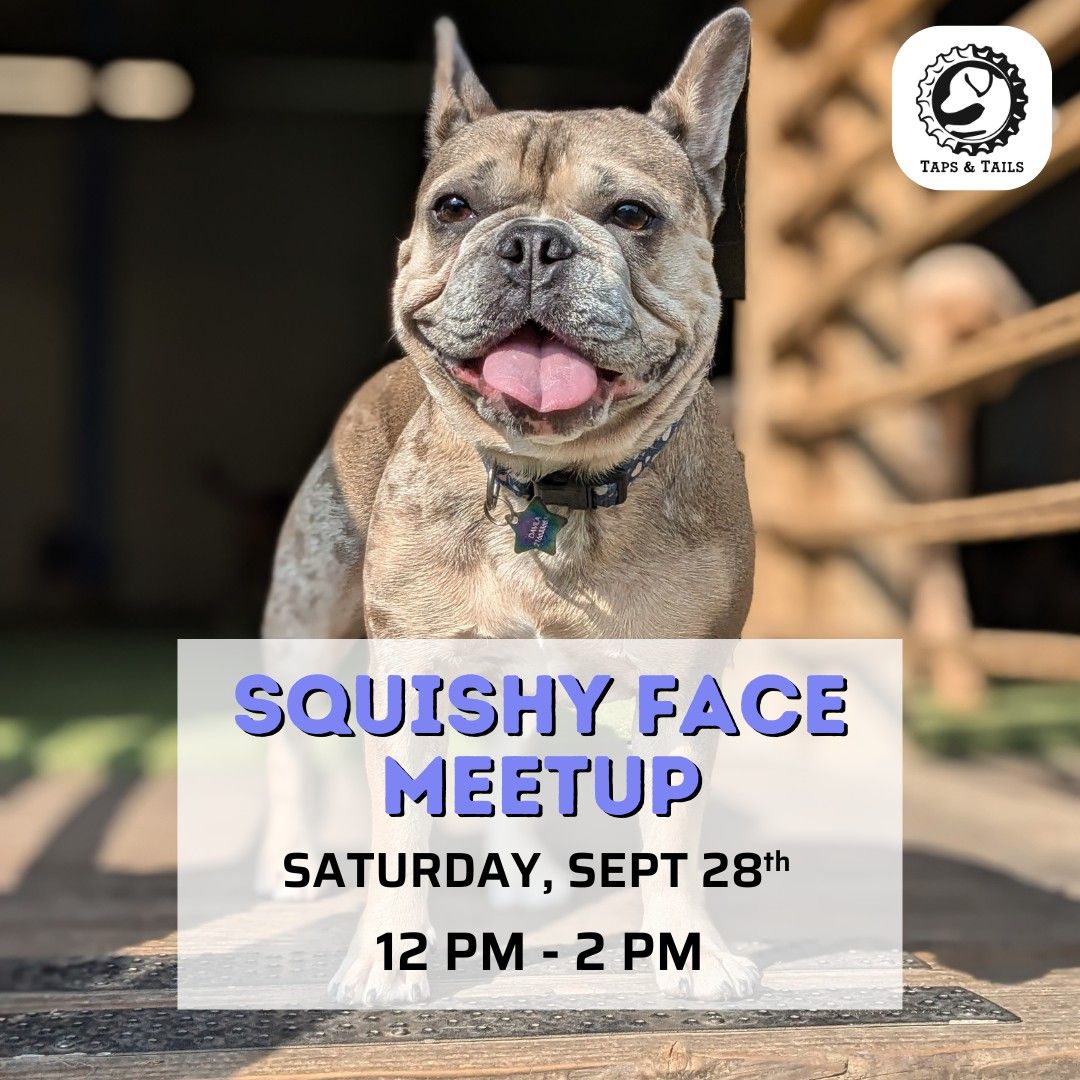 Squishy Face Meetup!