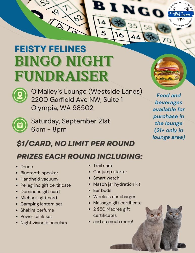 Feisty Felines\u2019 Bingo Fundraiser