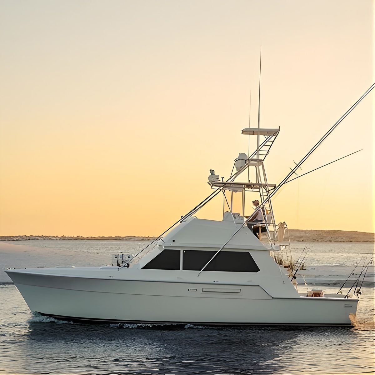 6 Hour Family Fun Fishing Charter on a 42\u2019 Sportfish ,Alibi