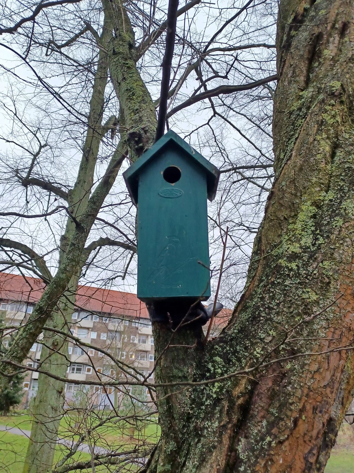 Byg og mal fuglehus