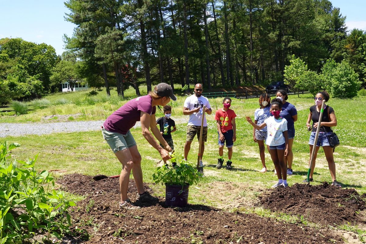 Sweet Potato Workshop