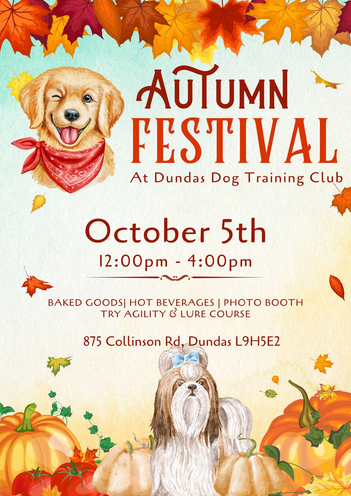 K9 Autumn Festival 