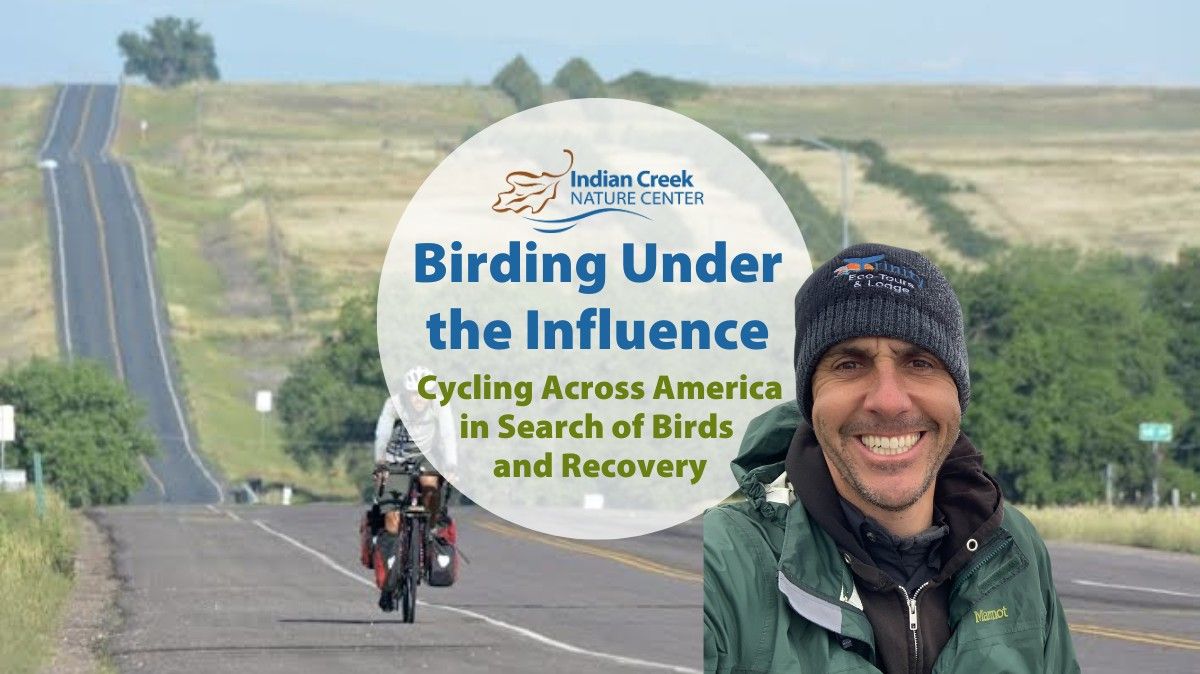 Cycling Across America in Search of Birds and Recovery