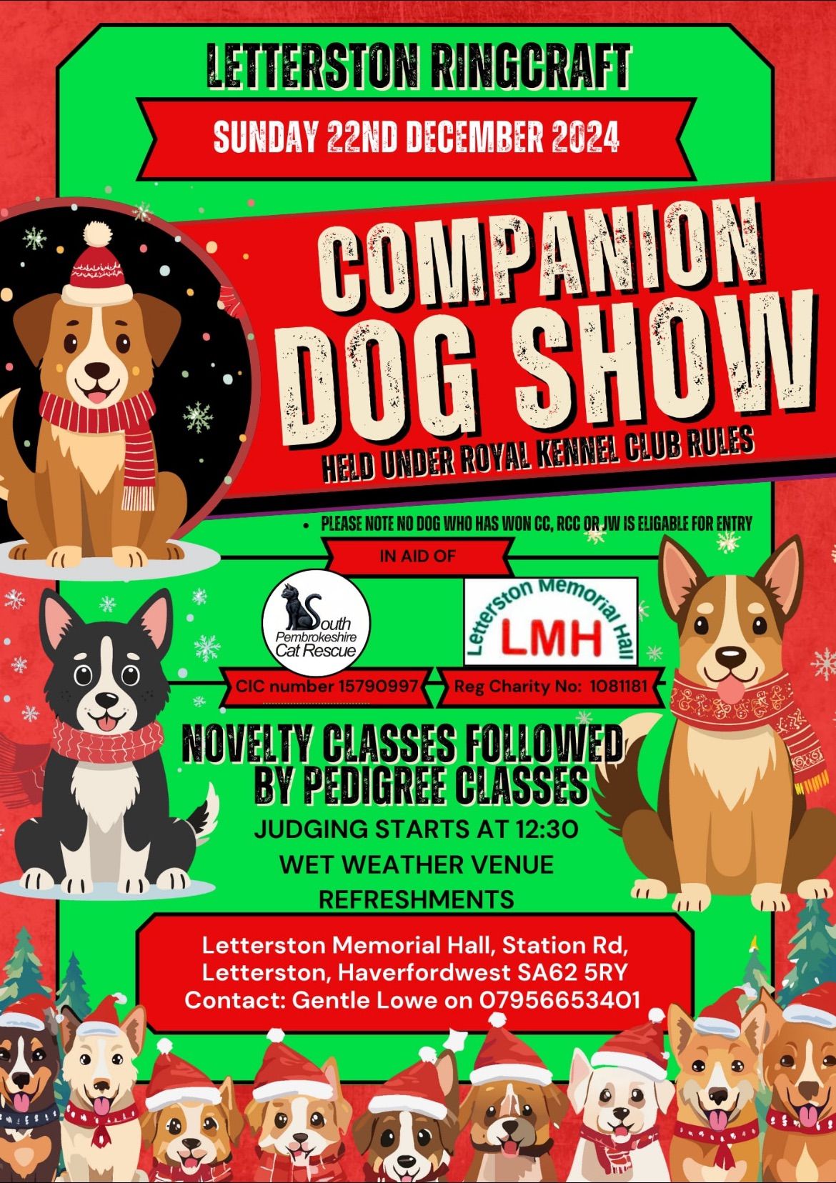 \ud83c\udf84Letterston Companion Christmas Dog Show