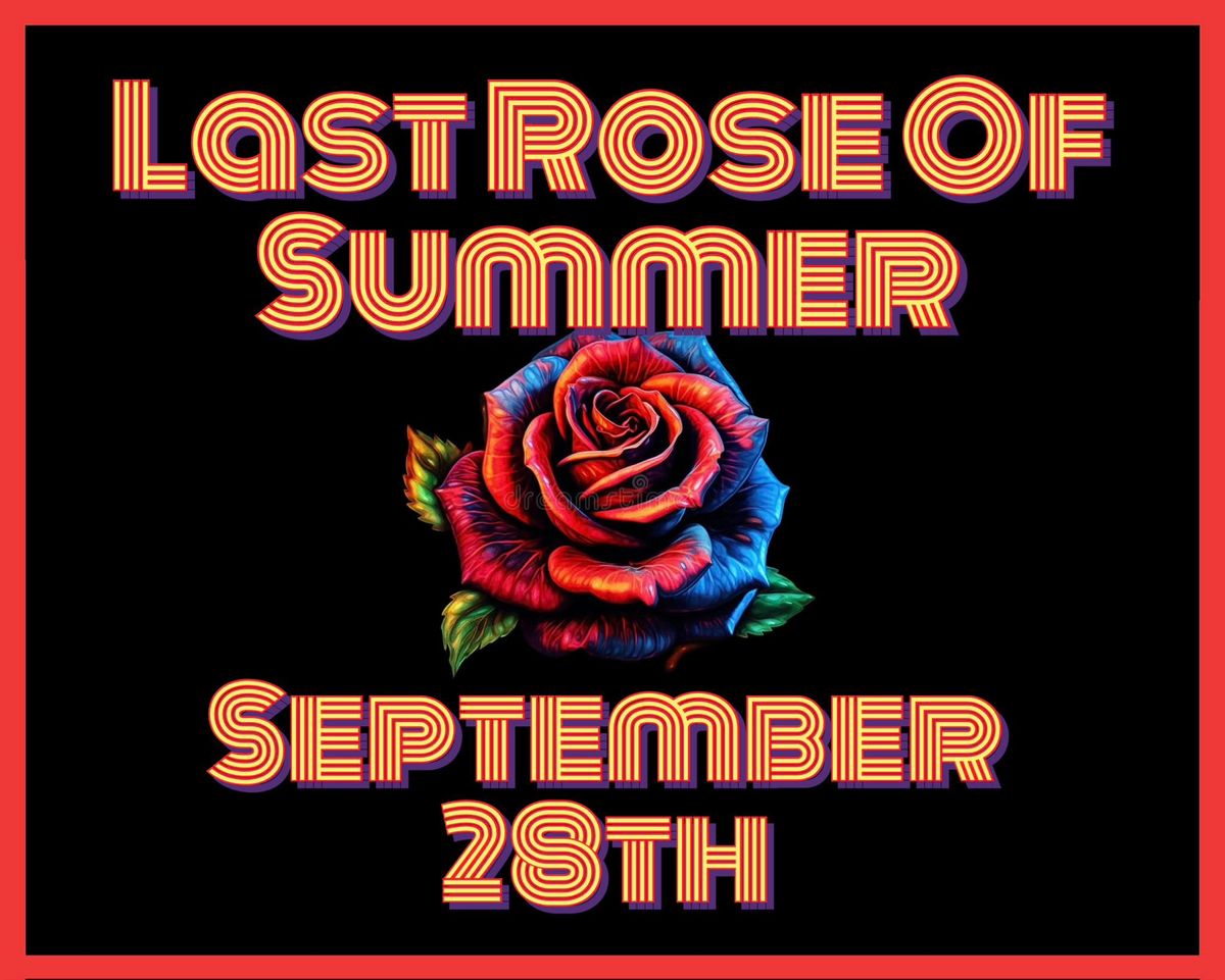 Last Rose Of Summer  \ud83e\udd40 