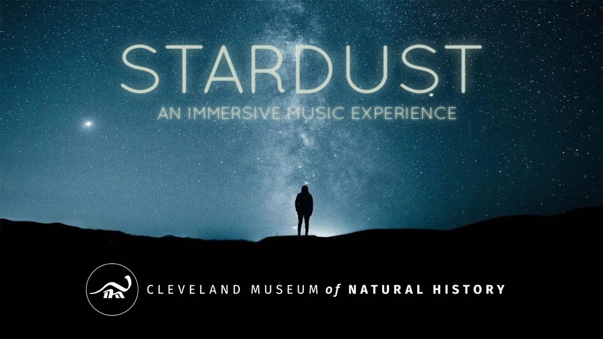 Stardust: An Immersive Music Experience