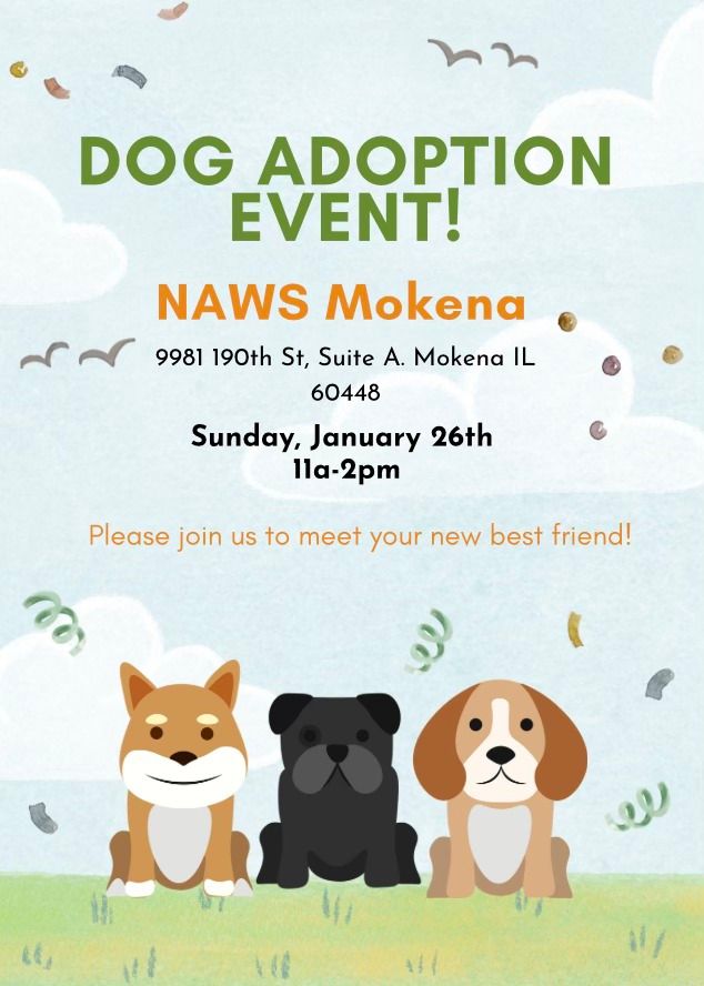 NAWS Dog Adoption Event 