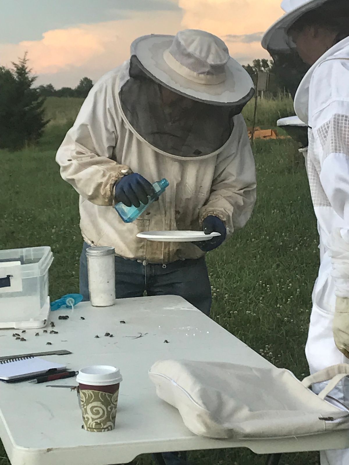 Beekeeping for Not-Yet Beekeepers