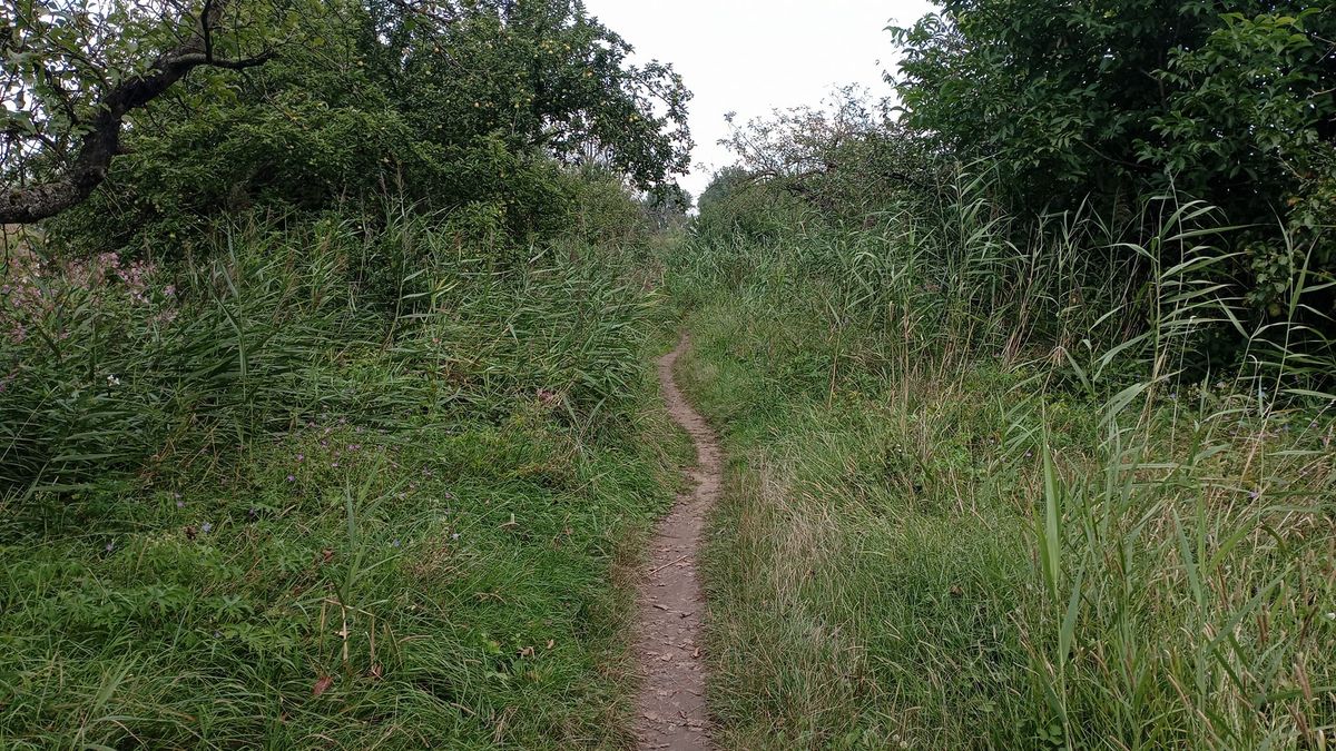 3.Otzberger Wald-und Wiesenultra