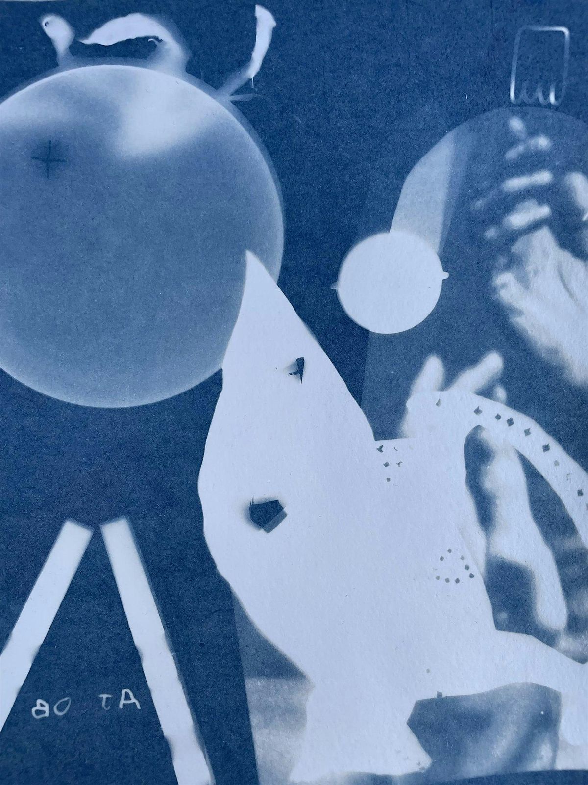 Cyanotype Workshop