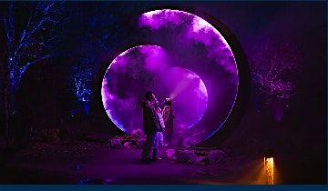 Experience Astra Lumina with the USC Gould Alumni Association